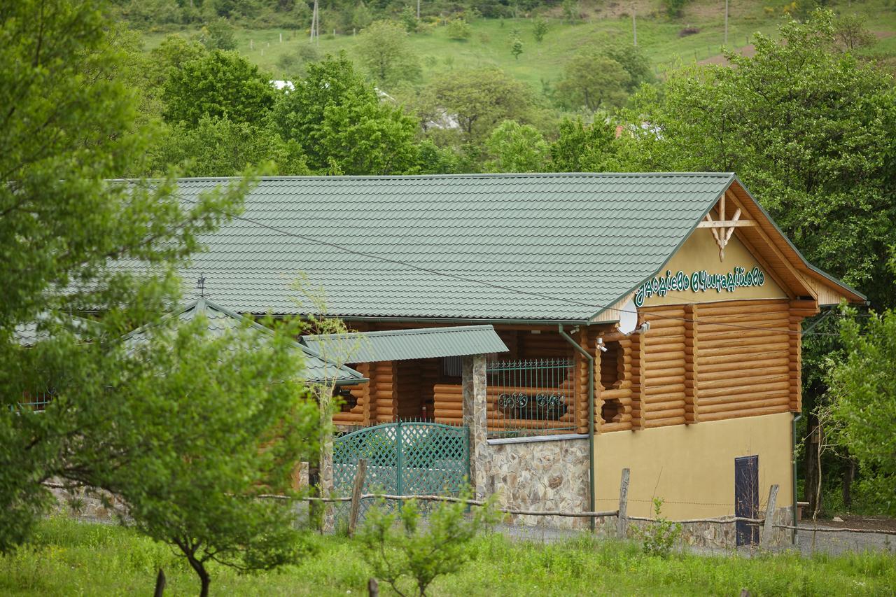 Chudodievo In Chynadievo Mini-Hotel Chynadiyovo Bagian luar foto